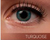 Turkosa Linser Freshlook Colorblends Turquoise 2-pack